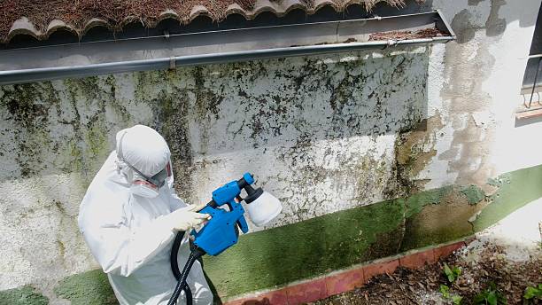 Trusted Mold Inspection service in Sims, NC - Cheap Mold Removal